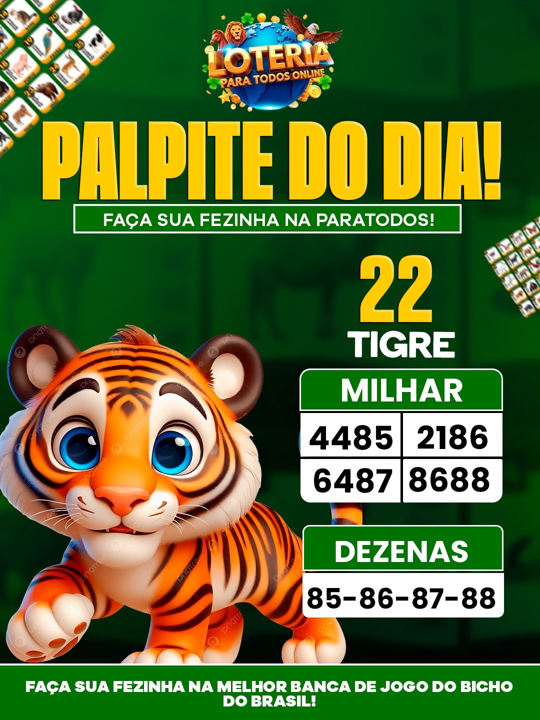 Palpites do Dia